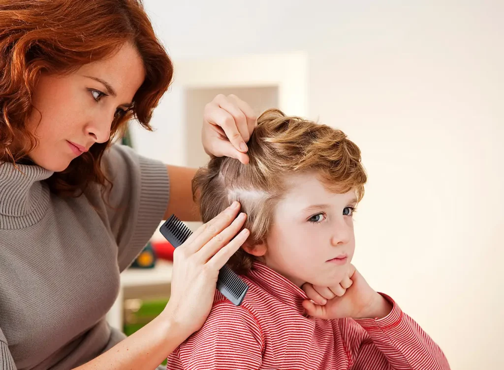 mom checking her son's hair for a lice infestation maryville illinois